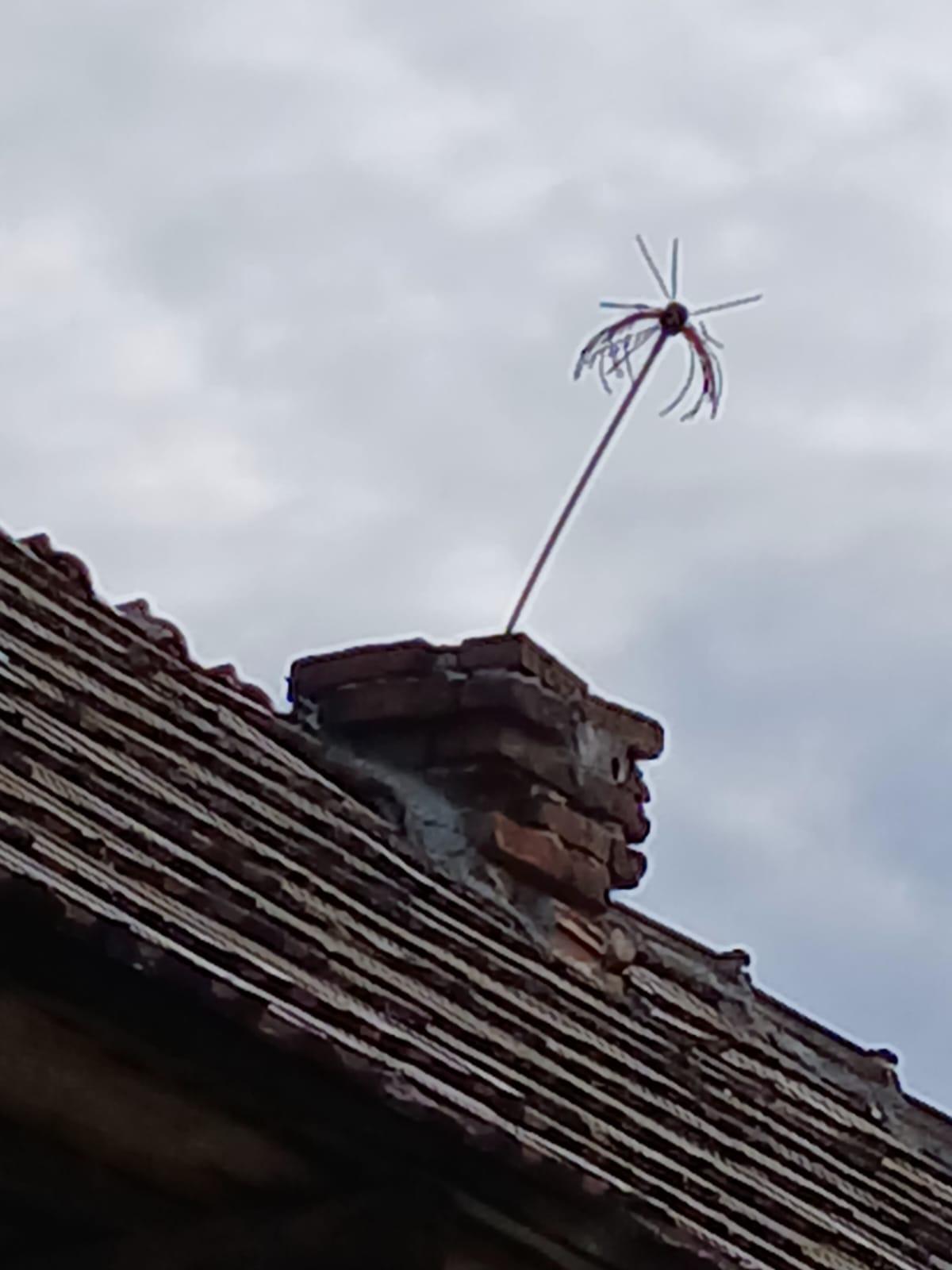 IMG-20241224-WA0124